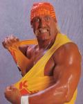 The Hulkster