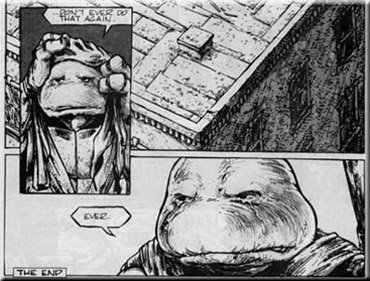 Future Donatello - a Turtle reflects