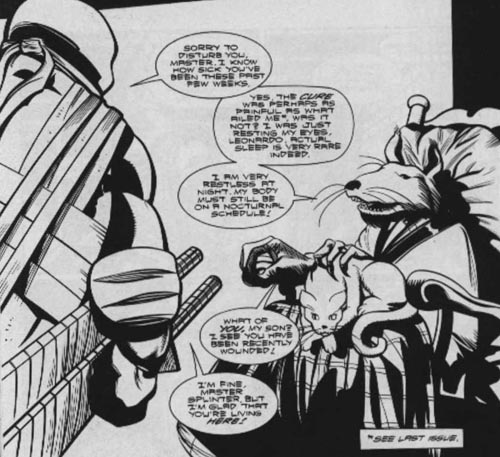 TMNT #17. Hah! Splinter lives, and is back to normal!