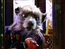Splinter